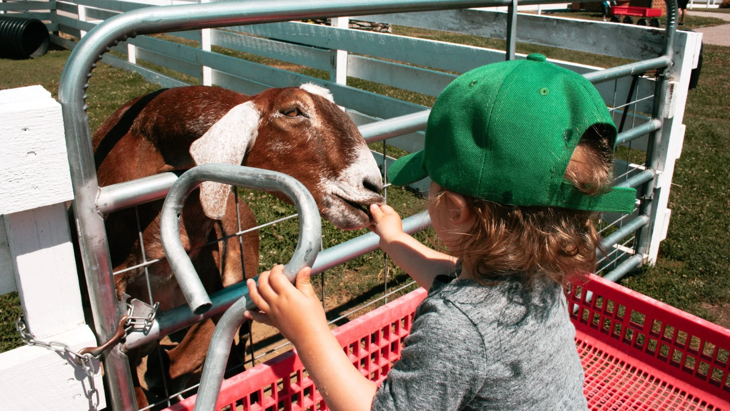 Review: Plymouth County Sheriff’s Farm